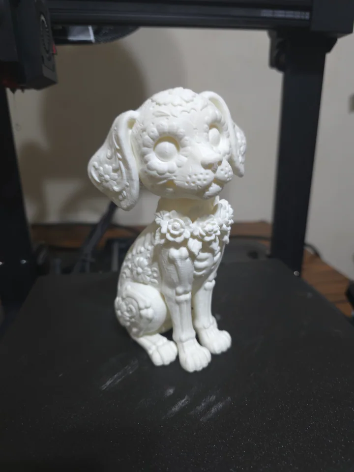 Perrito dia de muertos, foto 2